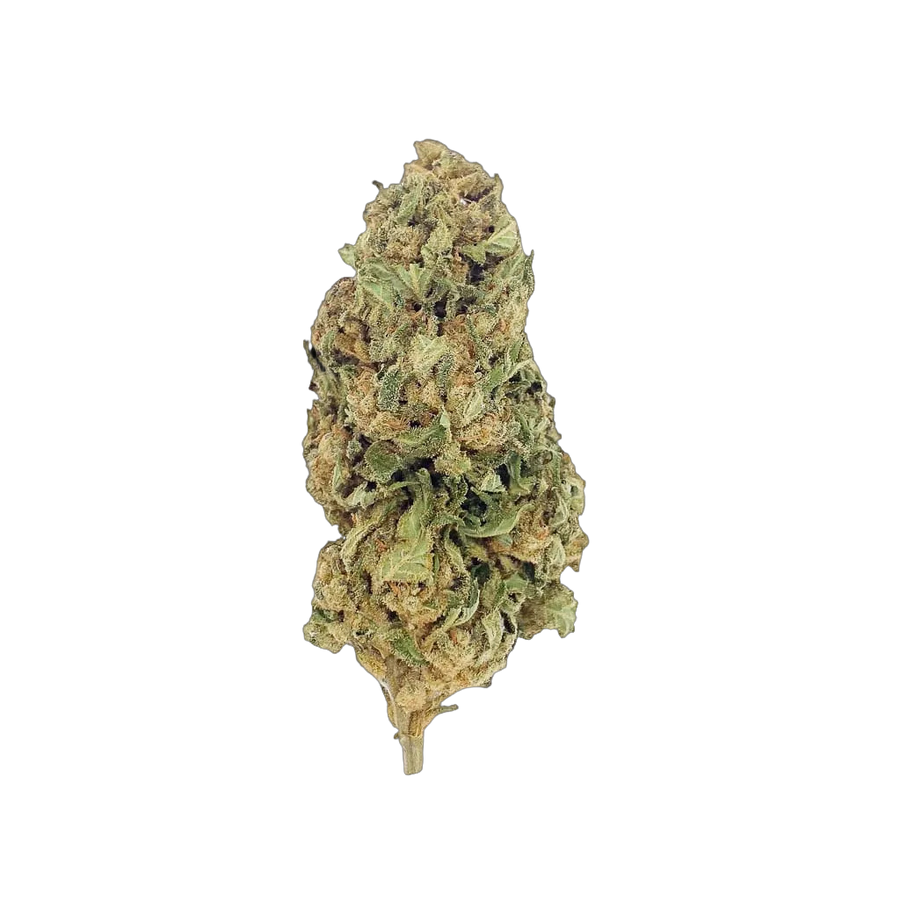 Lemon 10-OH-HHC 🍋