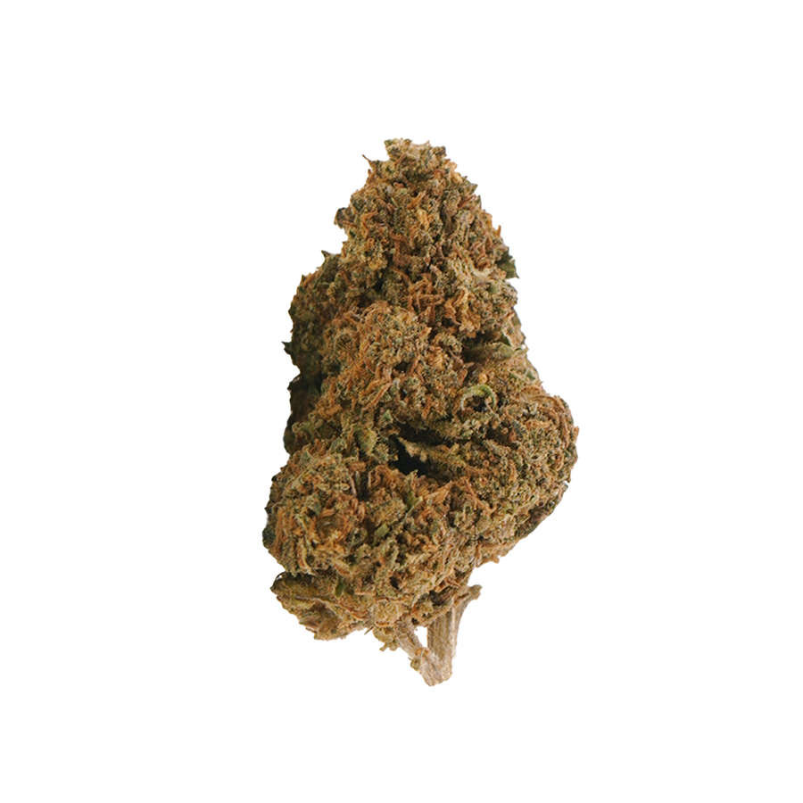 Jack Herer THCX 2.0 🌿