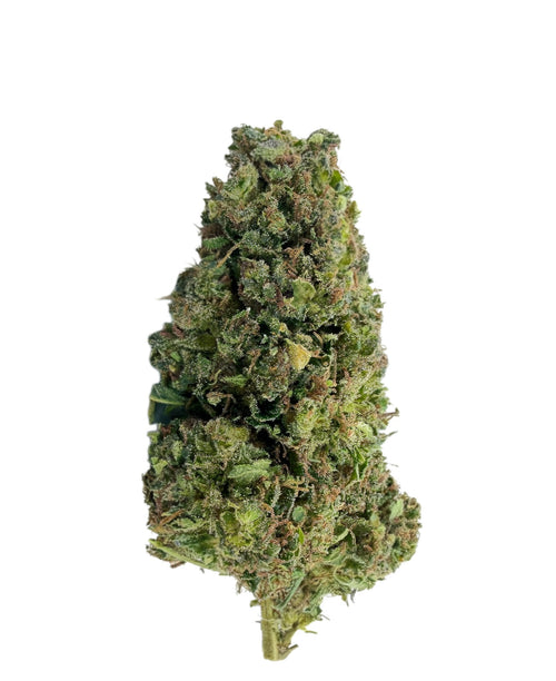 Biscotti THC+