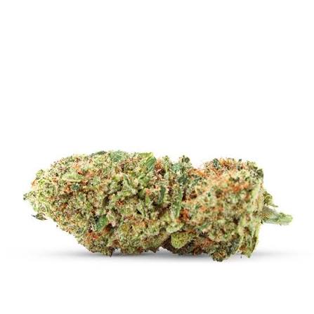 Cali GMO Cookies THCX 2.0 🍪